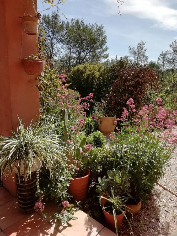 Chambre D'Hote Le Mas Des Romarins Les Arcs-sur-Argens Exterior foto